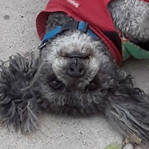 Meet your Posher, Ruth